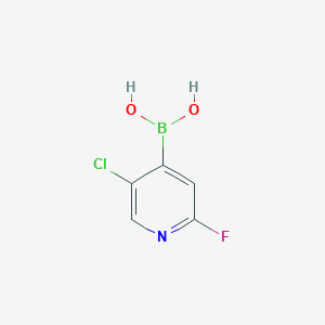 (5-Chloro-2-fluoropyridin-4-yl)boronic acid - (1034659-38-5)