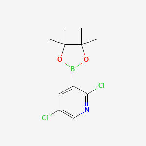 2,5-Dichloro-3-(4,4,5,5-tetramethyl-1,3,2-dioxaborolan-2-yl)pyridine - (1073371-98-8)