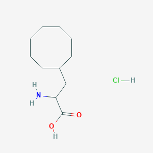 2-amino-3-cyclooctyl-propanoic acid;hydrochloride - (190905-78-3)