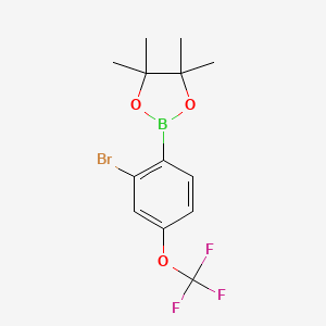 2-Bromo-4-(trifluoromethoxy)phenylboronic acid pinacol ester - (2121514-01-8)