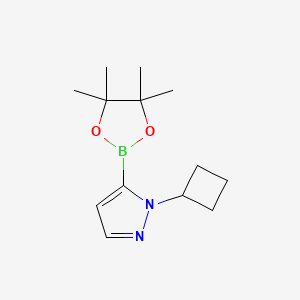 1-cyclobutyl-5-(tetramethyl-1,3,2-dioxaborolan-2-yl)-1H-pyrazole - (2227297-73-4)