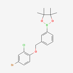 2-(3-((4-bromo-2-chlorophenoxy)methyl)phenyl)-4,4,5,5-tetramethyl-1,3,2-dioxaborolane - (2246646-61-5)