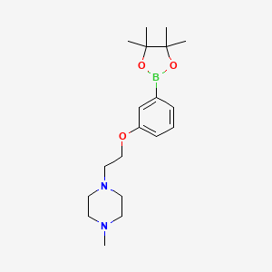 1-methyl-4-(2-(3-(4,4,5,5-tetramethyl-1,3,2-dioxaborolan-2-yl)phenoxy)ethyl)piperazine - (2246691-45-0)