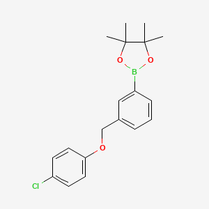 2-(3-((4-chlorophenoxy)methyl)phenyl)-4,4,5,5-tetramethyl-1,3,2-dioxaborolane - (2246802-64-0)