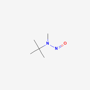 tert-butylmethylnitrosamine - (2504-18-9)