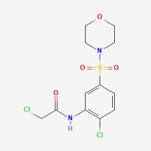 2-chloro-N-[2-chloro-5-(morpholine-4-sulfonyl)phenyl]acetamide - (379723-72-5)