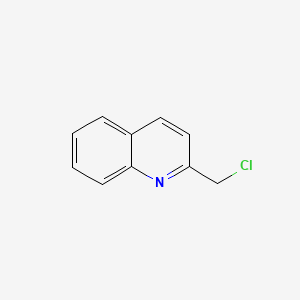 2-(chloromethyl)quinoline - (4377-41-7)