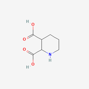 2,5-DIBROMOPIPERIDINE - (46026-75-9)
