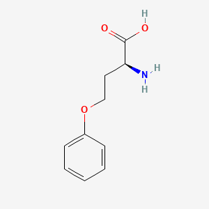 (2S)-2-amino-4-phenoxybutanoic acid - (52161-82-7)