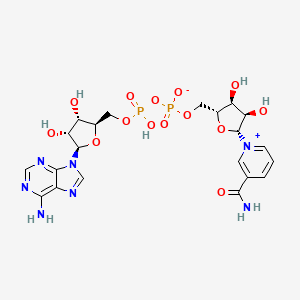 β-Nicotinamide Adenine Dinucleotide (NAD+) - (53-84-9)
