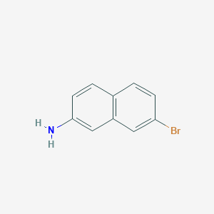 2-Naphthalenamine,7-bromo-(9CI) - (590417-30-4)