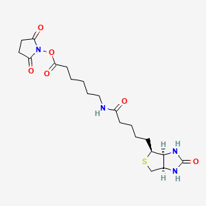 2,5-Dioxopyrrolidin-1-yl 6-(5-((3aS,4S,6aR)-2-oxohexahydro-1H-thieno[3,4-d]imidazol-4-yl)pentanamido)hexanoate - (72040-63-2)