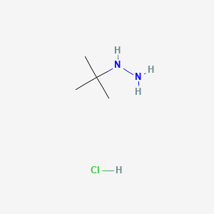 tert-Butylhydrazine hydrochloride - (7400-27-3)
