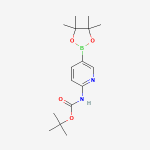 2-(tert-butoxycarbonylamino)pyridine-5-boronic acid, pinacol ester - (910462-31-6)