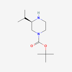 (R)-1-Boc-3-Isopropylpiperazine - (928025-63-2)